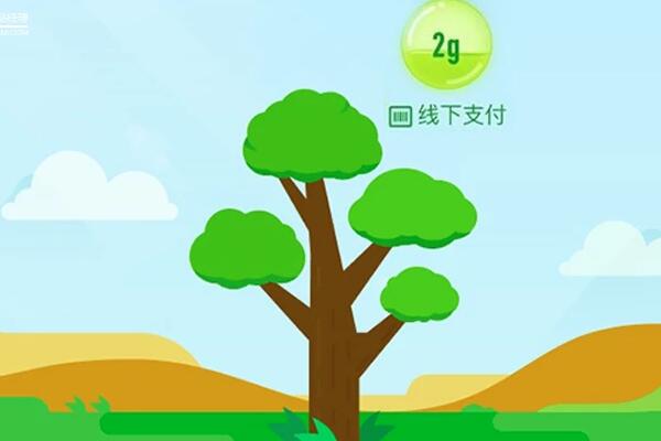 蚂蚁森林能量多久消失