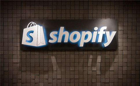 Shopify店铺是选择做细分垂直类还是综合杂货铺.jpg