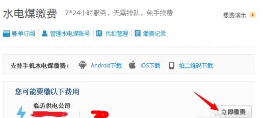 用支付宝交了电费没电怎么回事.jpg