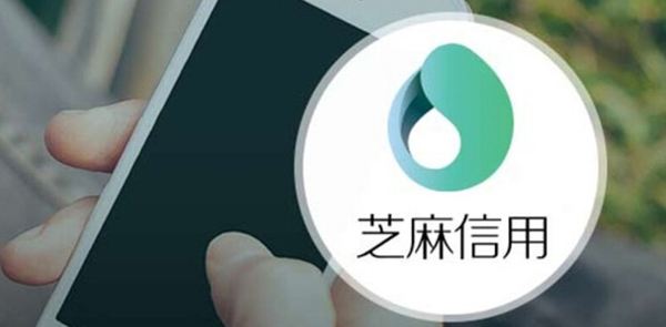 芝麻负面记录会消除吗