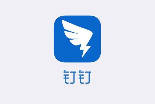 网页版钉钉有密聊吗