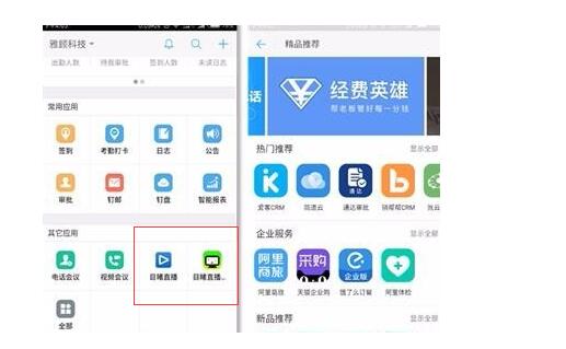 钉钉群直播互动功能