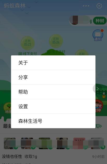 蚂蚁森林