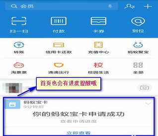 蚂蚁宝卡丢了怎么提升办
