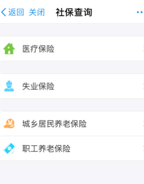 支付宝怎么查养老保险5.png