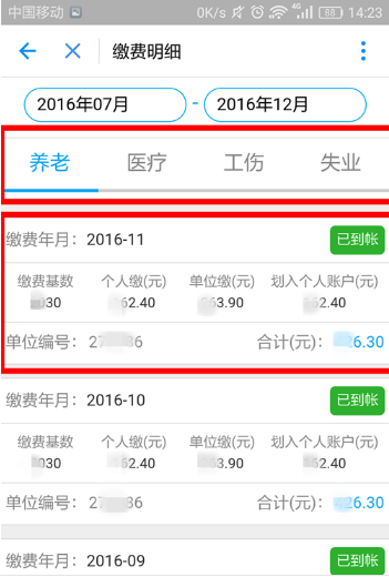 支付宝查社保明细怎么查8.png