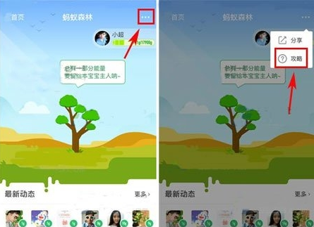 蚂蚁森林行走捐