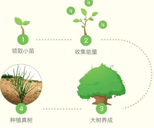 蚂蚁森林能量保护罩