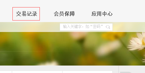 支付宝的单笔账单怎么打印 支付宝的单笔账单怎么打印