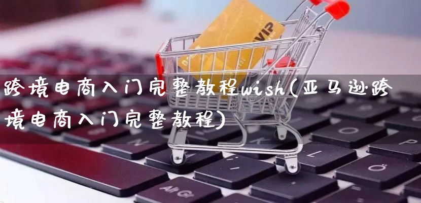 跨境电商入门完整教程wish(亚马逊跨境电商入门完整教程)_https://www.qujiang-marathon.com_运营技巧_第1张