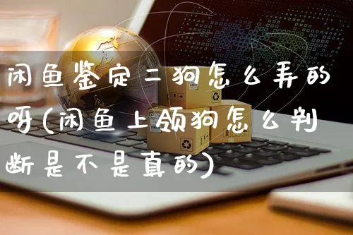 闲鱼鉴定二狗怎么弄的呀(闲鱼上领狗怎么判断是不是真的)_https://www.czttao.com_闲鱼电商_第1张