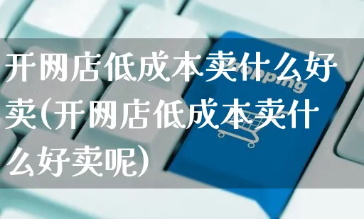 开网店低成本卖什么好卖(开网店低成本卖什么好卖呢)_https://www.czttao.com_开店技巧_第1张