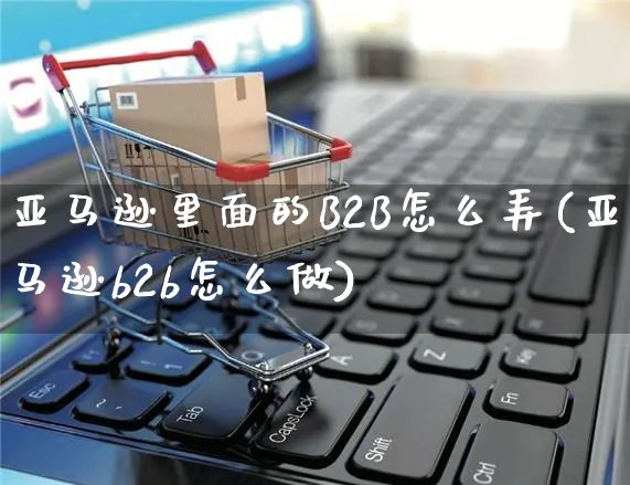 亚马逊里面的B2B怎么弄(亚马逊b2b怎么做)_https://www.czttao.com_亚马逊电商_第1张