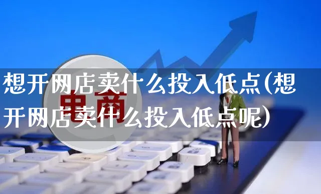 想开网店卖什么投入低点(想开网店卖什么投入低点呢)_https://www.czttao.com_店铺装修_第1张