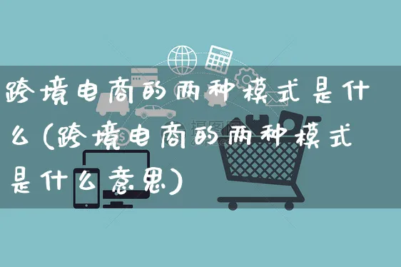 跨境电商的两种模式是什么(跨境电商的两种模式是什么意思)_https://www.czttao.com_店铺规则_第1张