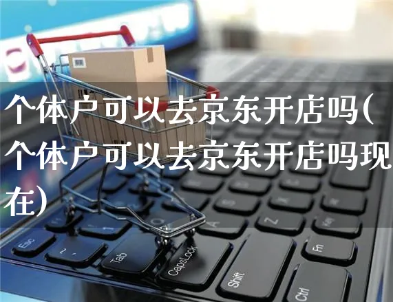 个体户可以去京东开店吗(个体户可以去京东开店吗现在)_https://www.czttao.com_京东电商_第1张